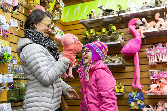 0E0A2421