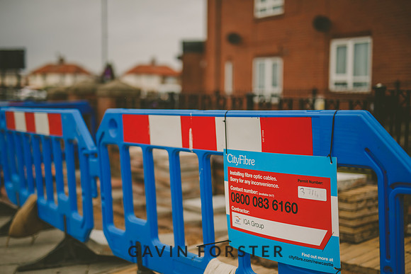 Gavin Forster Photography 1-3392