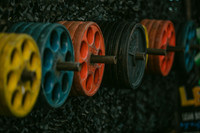 Gavin Forster Photography-17