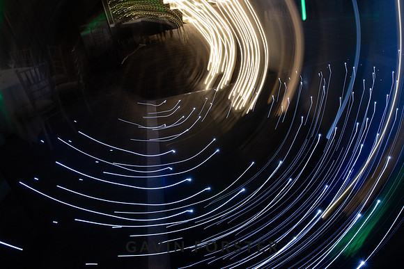 gavin forster photography -1568