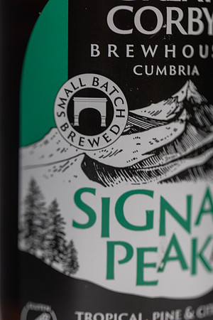 3P1A7521