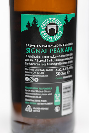 3P1A7524