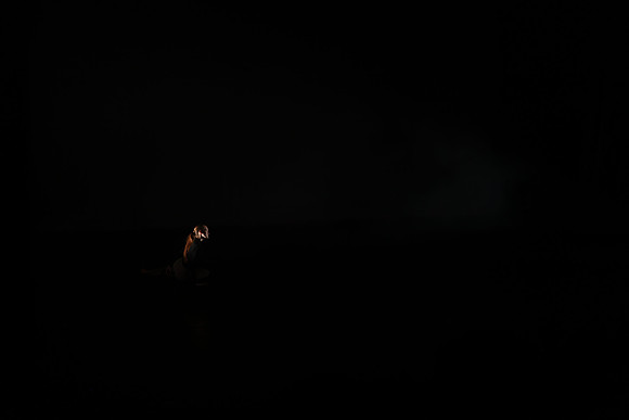 0E0A7026