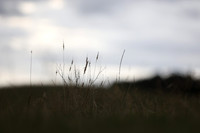 0E0A3402