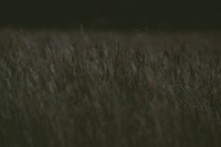 0E0A6094