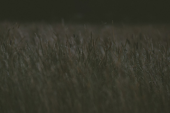 0E0A6094