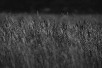 0E0A6094-2
