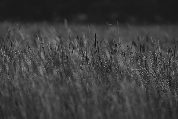 0E0A6094-2