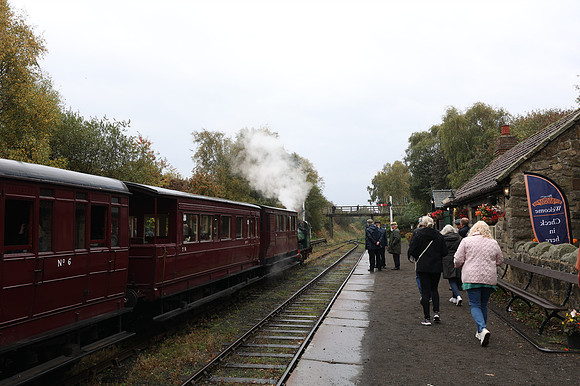 3P1A3144