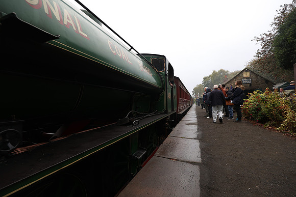 3P1A3148
