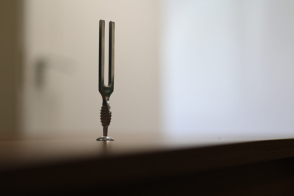 3P1A0222