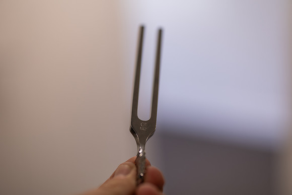 3P1A0227