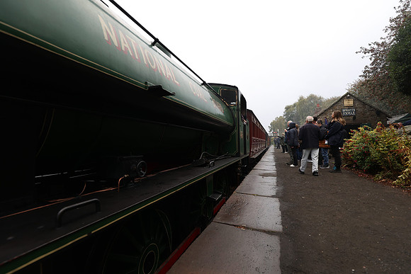 3P1A3147