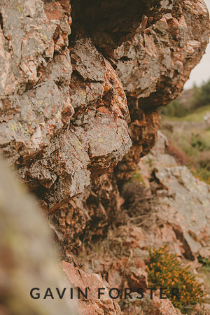 gavin forster photography -8580