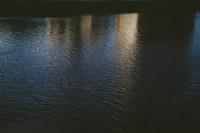 Gavin Forster photographer-7