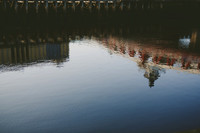 Gavin Forster photographer-14