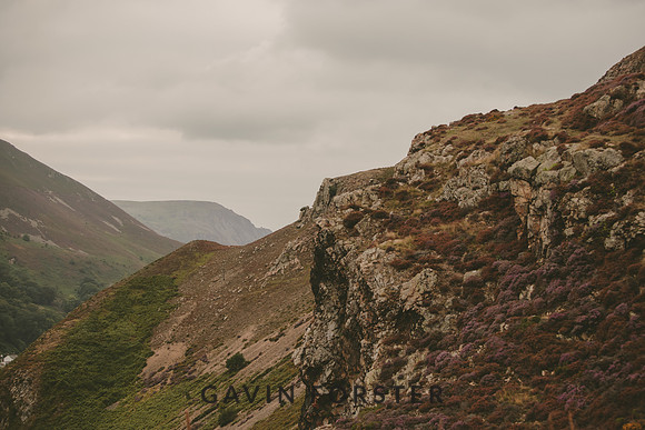 gavin forster photography -8584