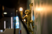 gavin forster photography -9785