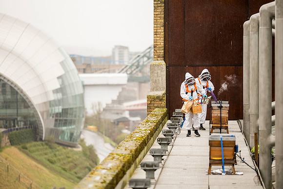 Gavin Forster Photography-9364