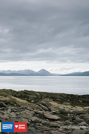 Gavin Forster Photography 1-89