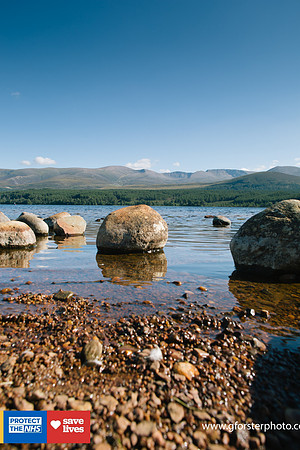 Gavin Forster Photography 1-213