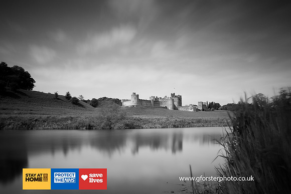 Gavin Forster Photography 1-8517