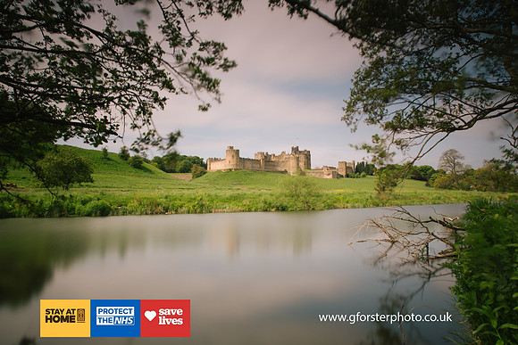 Gavin Forster Photography 1-8520