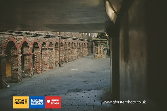 Gavin Forster Photography 1-0007