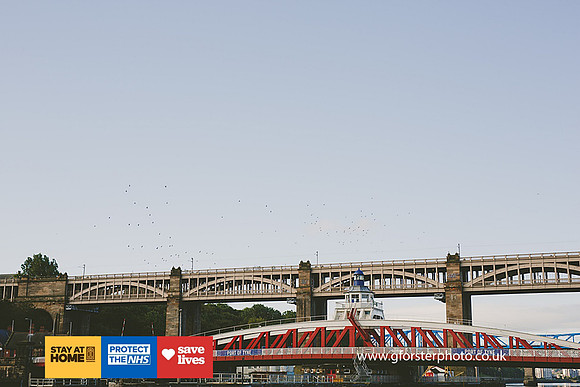 Gavin Forster Photography 1-0017