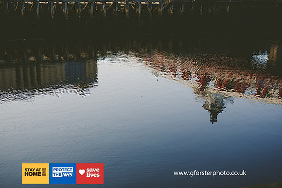 Gavin Forster Photography 1-0018