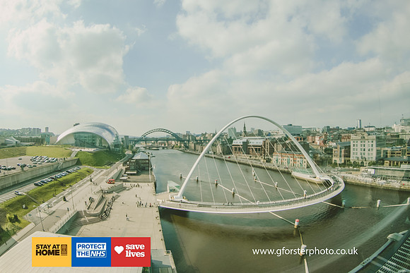 Gavin Forster Photography 1-095