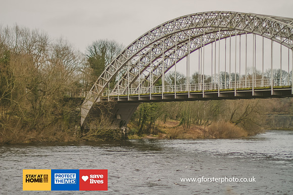 Gavin Forster Photography 1-1137