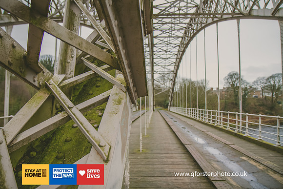 Gavin Forster Photography 1-1154