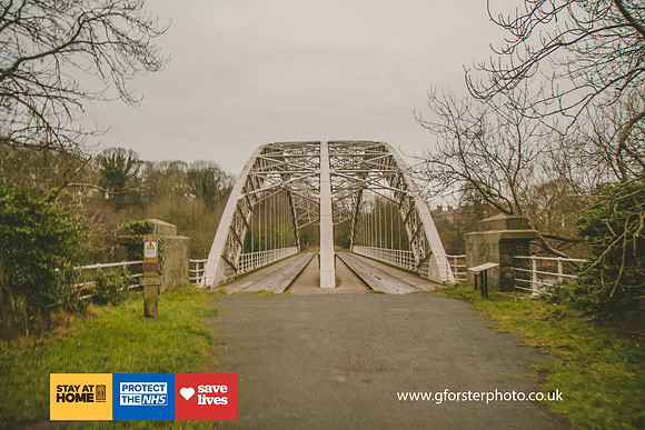 Gavin Forster Photography 1-1157