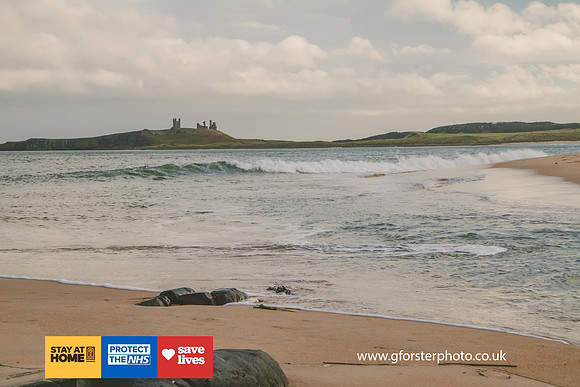Gavin Forster Photography 1-1235