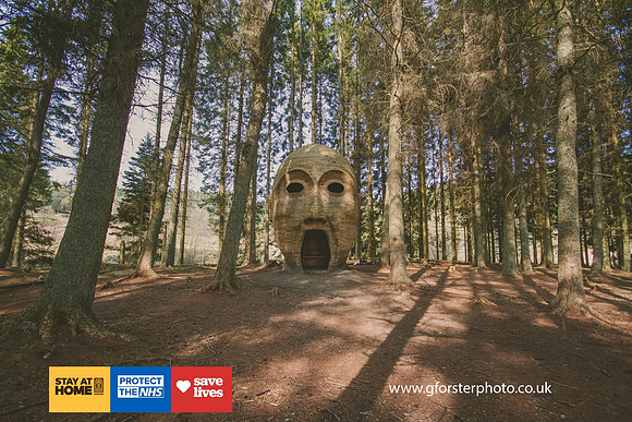 Gavin Forster Photography 1-3548