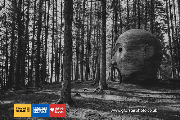 Gavin Forster Photography 1-3556