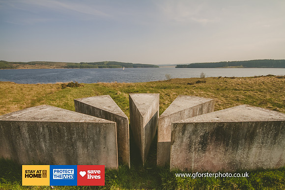Gavin Forster Photography 1-3560