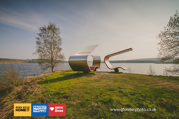 Gavin Forster Photography 1-3573