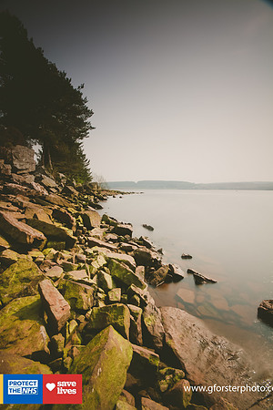 Gavin Forster Photography 1-3624