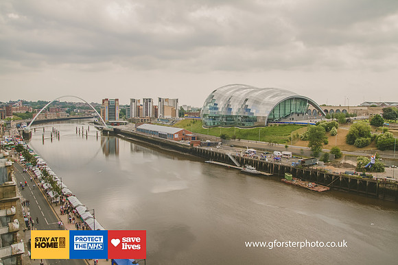 Gavin Forster Photography 1-6305