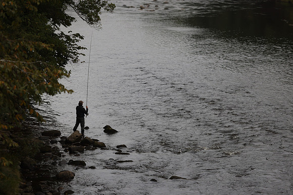 0E0A2985