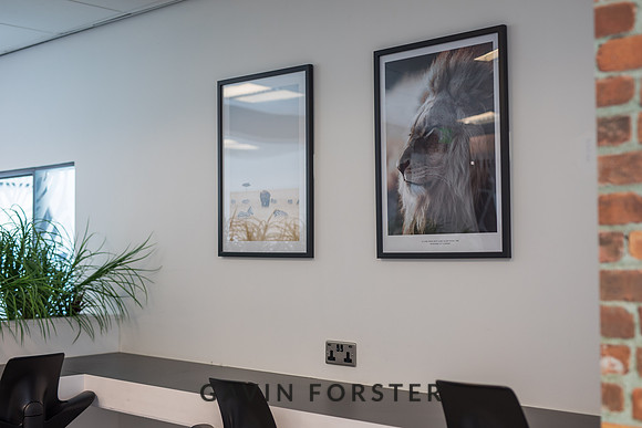 gavin forster photography -0119