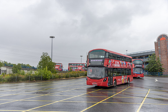 Gavin Forster Photography-11
