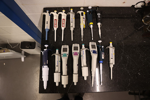 0E0A0545