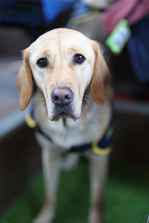 3P1A7103