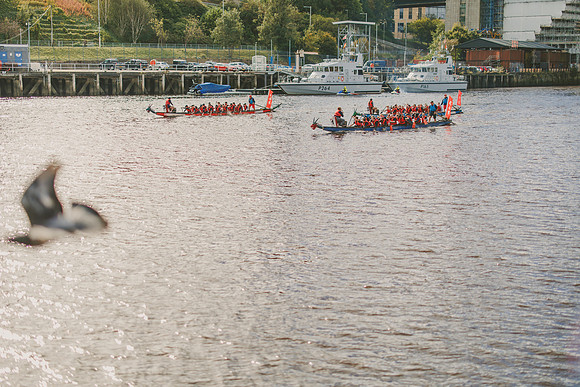 Gavin Forster Photography -4896