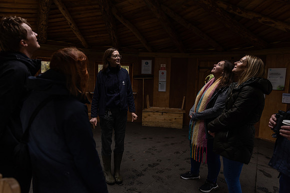 0E0A2955