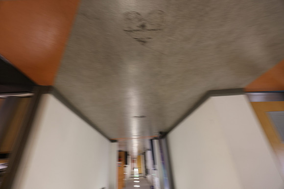 0E0A7509