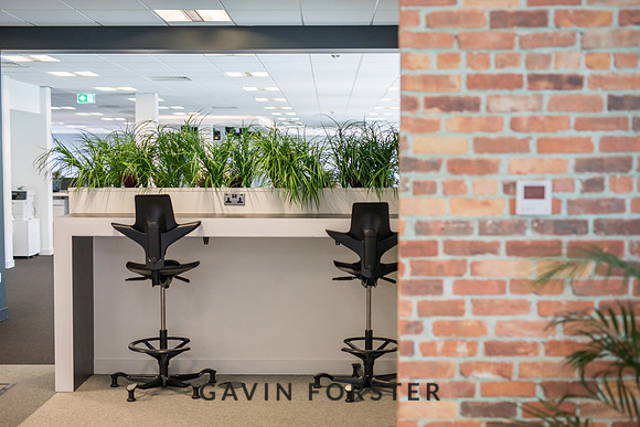 gavin forster photography -9776